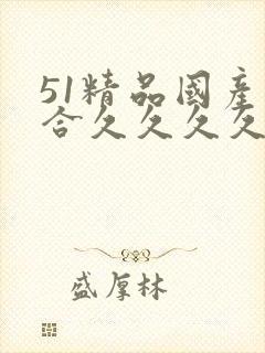 51精品国产综合久久久久久