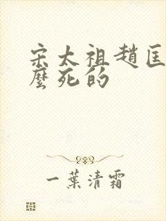 宋太祖赵匡胤怎么死的