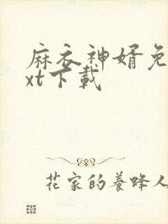 麻衣神婿免费txt下载