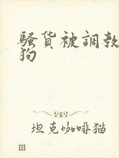 骚货被调教成母狗封面