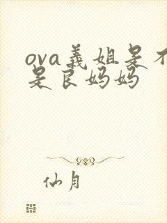 ova义姐是不是良妈妈封面