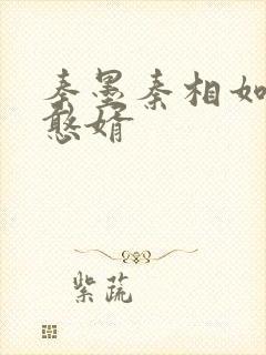 秦墨秦相如大乾憨婿