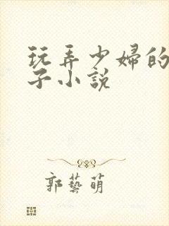 玩弄少妇的大奶子小说
