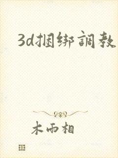 3d捆绑调教
