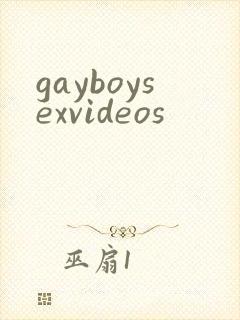 gayboysexvideos