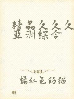 精品久久久久久亚洲综合