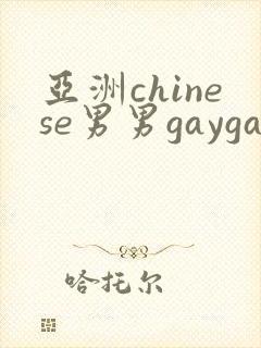 亚洲chinese男男gaygay网站
