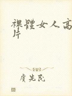 裸体女人高清毛片