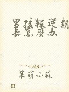 男孩叛逆期时家长怎么办