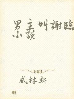 男主叫谢临渊的小说封面