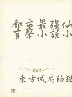 都市最强仙尊 有声小说小说