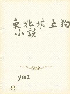 东北坑上狗儿娘 小说