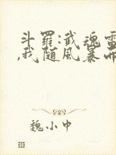 斗罗:武魂雷伊,我随风暴而来免费阅读