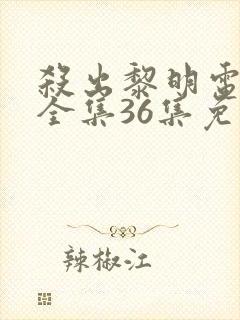 杀出黎明电视剧全集36集免费观看