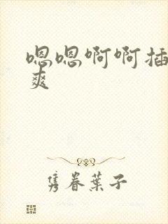 嗯嗯啊啊插的好爽封面