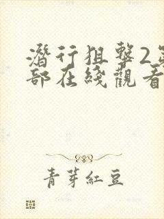 潜行狙击2第二部在线观看