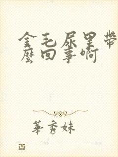 金毛尿里带血怎么回事啊