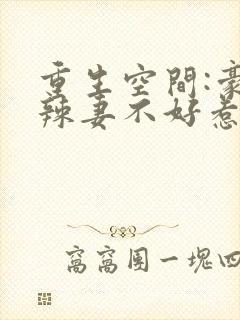 重生空间:豪门辣妻不好惹