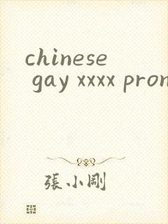 chinese gay xxxx pron twink封面