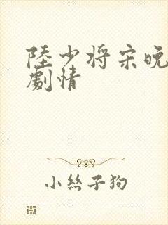 陆少将宋晚后续剧情