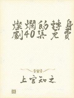 灿烂的转身电视剧40集免费观看高清