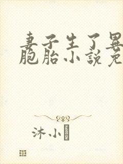 妻子生了异父双胞胎小说免费阅读封面