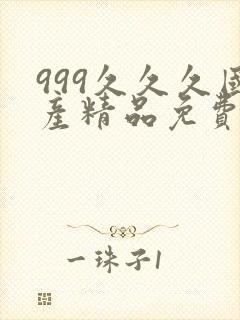 999久久久国产精品免费封面