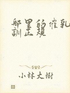 哪里的催乳师培训正规