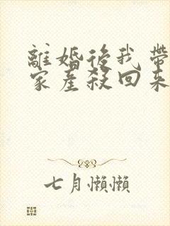 离婚后我带千亿家产杀回来了小说封面