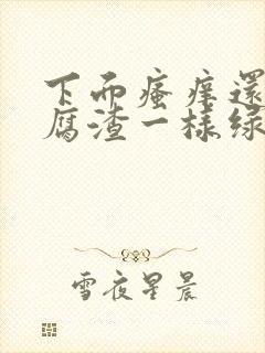 下面瘙痒还有豆腐渣一样绿色的分泌物封面