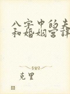 八字中的夫妻宫和婚姻宫详解