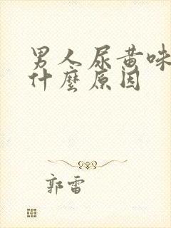 男人尿黄味重是什么原因