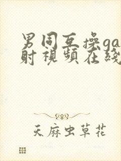 男同互操gay射视频在线看