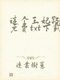 这个王妃路子野免费txt下载