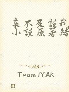 来不及说我爱你小说原著结局