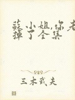 苏小姐,你老公掉了全集