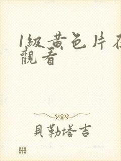 1级黄色片在线观看