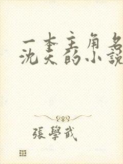 一本主角名字叫沈天的小说