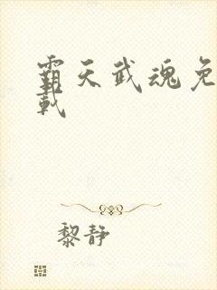 霸天武魂免费下载