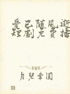 爱已随风逝沈凝短剧免费播放封面