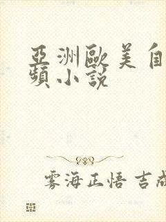 亚洲欧美自拍视频小说