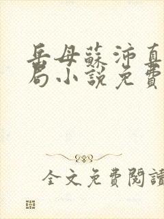 岳母苏沛真大结局小说免费阅读全文无弹窗