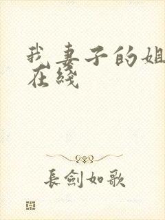 我妻子的姐姐 在线封面