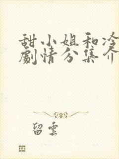 甜小姐和冷先生剧情分集介绍