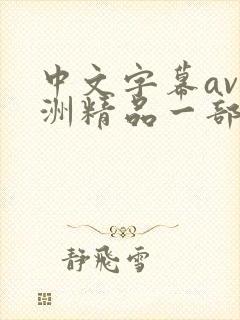 中文字幕av亚洲精品一部二部