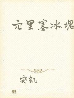 穴里塞冰块小说