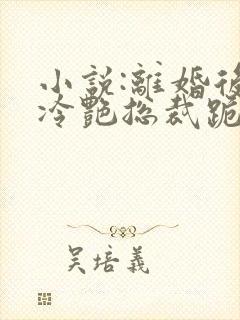 小说:离婚后,冷艳总裁跪求复婚