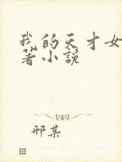 我的天才女友原著小说