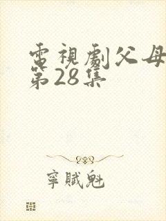 电视剧父母爱情第28集