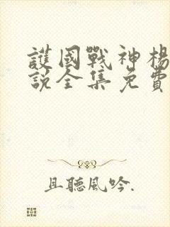 护国战神杨风小说全集免费阅读